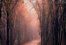 射击天才青年夺冠，成为焦点