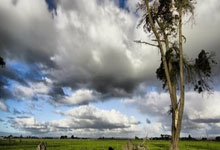 曼联主场小战胜，强等你挑战