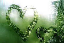 阿森纳在欧冠比赛中大放异彩